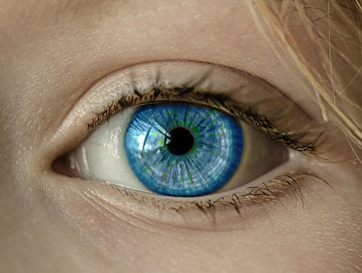 eye-close-up-ophtec close-up van oog